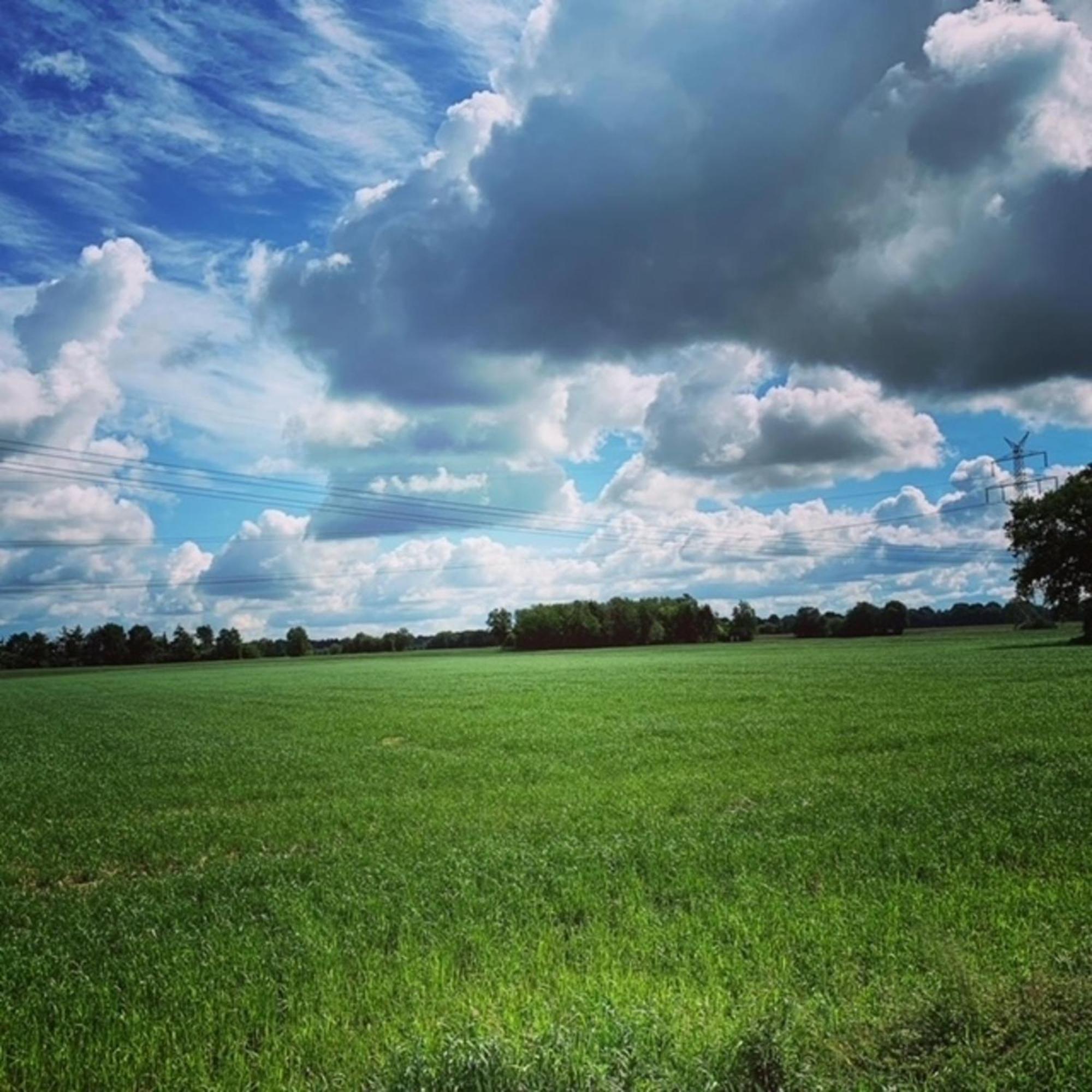 Huxfeld-Hof - Wörpe Lägenhet Grasberg Exteriör bild